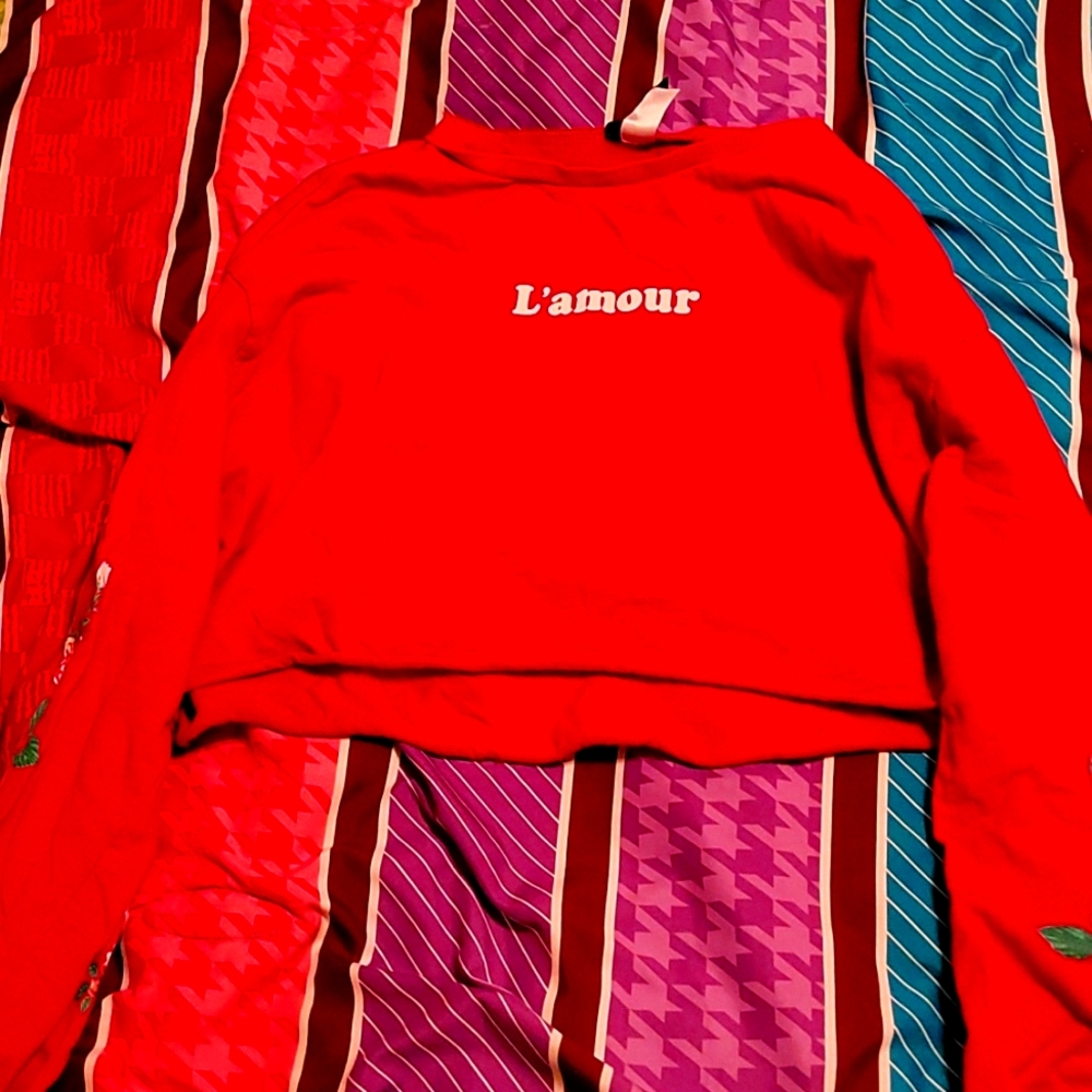 H&M Divided L'amour (Love) Long Sleeved Cropped Tee